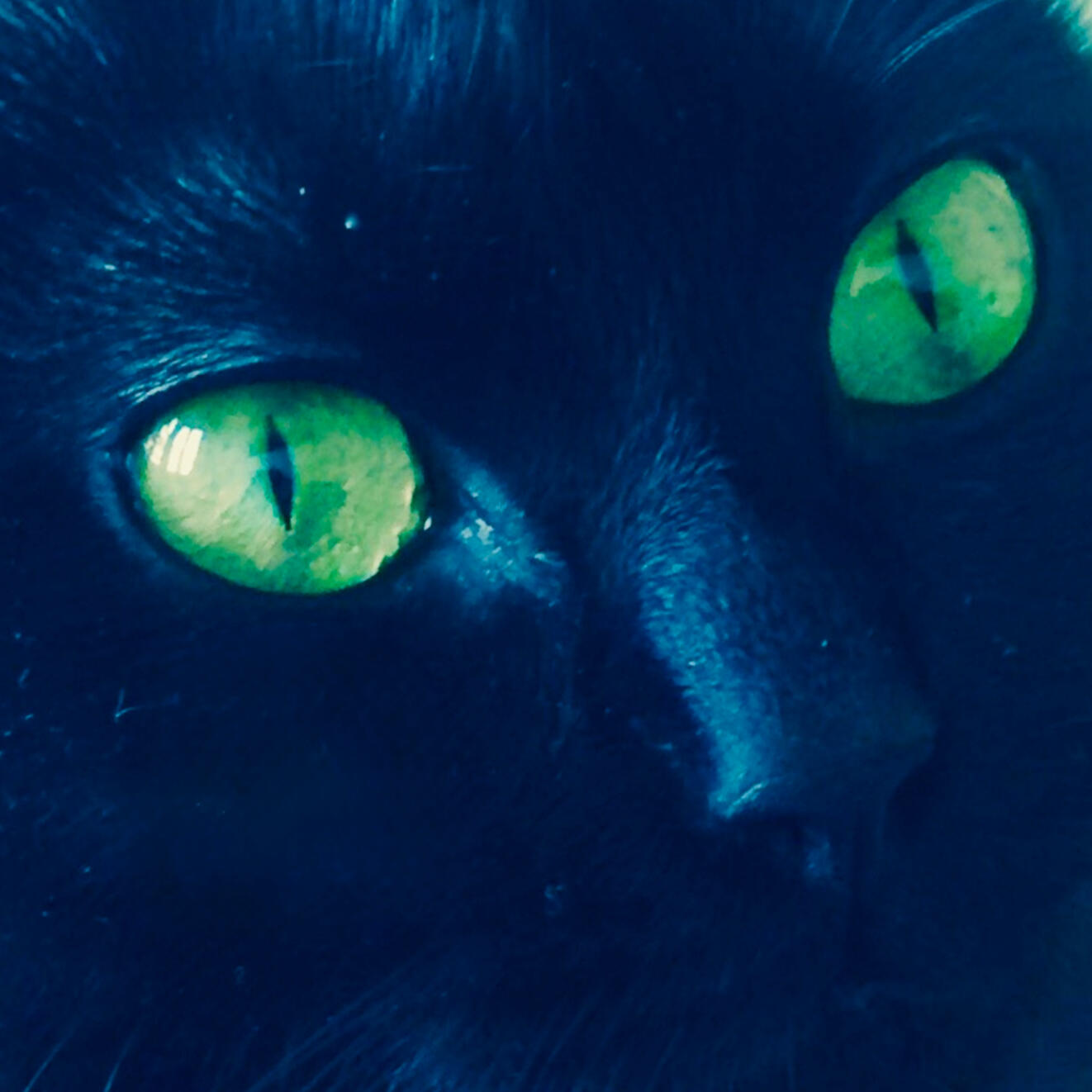 Photo of the first Album of Jeanne Wilde a.k.a. Aurore Smets